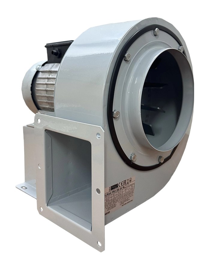 Вентилятор радиальный BURAN PRO 200 220V Пр0 2 полюс ERA PRO